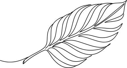 Obraz premium One continuous line leaf. Linear plants. Hand drawing leaves. Vector 10 Eps. 