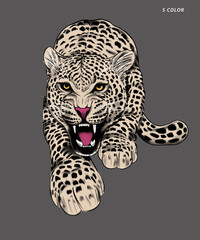 Prowling Isolated Leopard Illustration