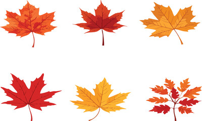Autumn Leaves Vector Illustration – Maple, Oak & Birch in Warm Fall Colors
