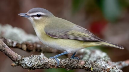 Small bird perched on a branch