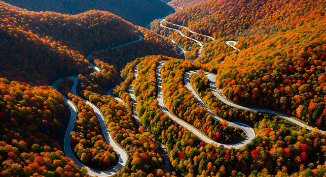 Aerial view of winding road through colorful autumn forest in mountain landscape, scenic drive and travel