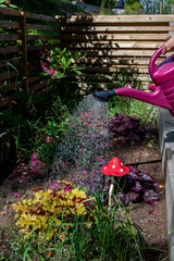 Watering the flowers growing in a raised bed using a watering can.