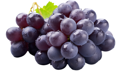 Fresh ripe purple grapes with water droplets close up view