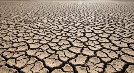 Cracked Earth Surface During Extreme Drought Season