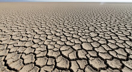 Cracked Dry Earth Surface Under Intense Sunlight