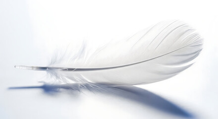 Obraz premium A single white feather lying on a white surface casting a soft shadow in a minimalist style image ai genrated