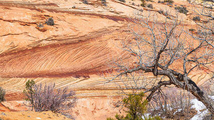 Grandiose Natur des Zion Nationalparks