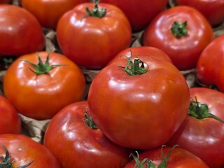tomatoes on the market