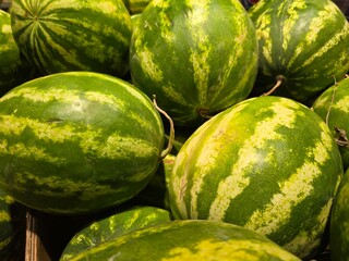 watermelons and melons