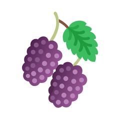 Fototapeta premium Luscious Mulberry Fruit Illustration with Leafy Green Accent, Ideal for Berry Designs and Natural Food Concepts, Isolated on Transparent Background for Versatile Use