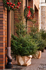 Christmas tree on the street in the winter city	
