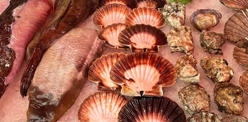 Seafood Fischmarkt
