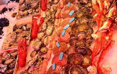 Seafood Fischmarkt
