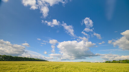 A beautiful sunny landscape featuring a clear blue sky dotted with fluffy white clouds
