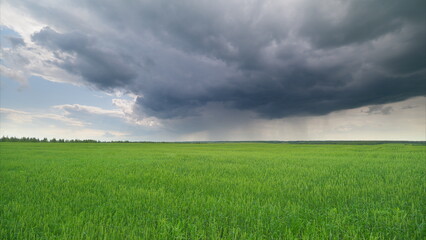Obraz premium Stormy Skies Hovering Over Lush Green Agricultural Fields and Surrounding Landscapes