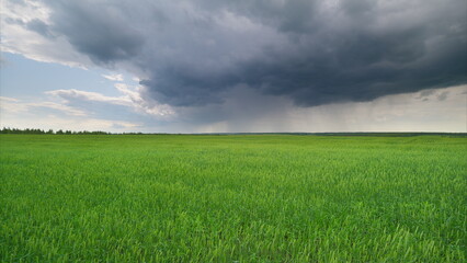 A Lush Green Field Under Dramatic Dark Clouds A Beautiful Nature Scene Unfolds Here