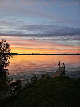 sDog Wading in Lake at Sunset Beside Wooden Dock