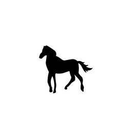 Horse Silhouette