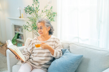 Happy Asian senior woman wearing glasses reading a book with drinking a cup of tea in living room....