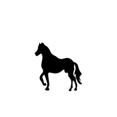 Horse Silhouette