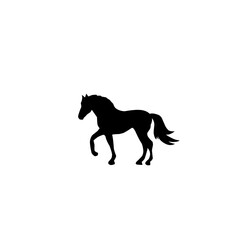 Fototapeta premium Horse Silhouette