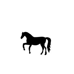 Horse Silhouette