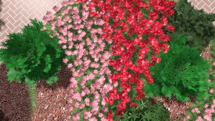 3d image of the landscape design of the home territory. Landscaping of the territory. Computer visualization of composite landscaping and landscaping solutions.