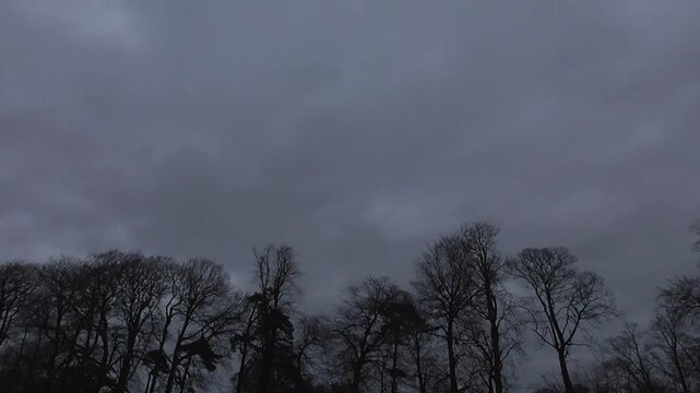 Timelapse of Stormy Clouds Over Bare Winter Trees