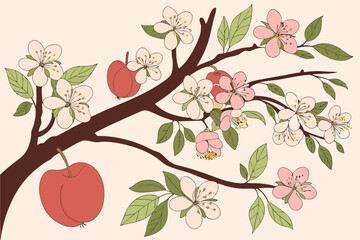 Cherry Blossom Branch with Red Apples.