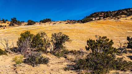 Landschaften und Slot Canyons im Grand Staircase Escalante