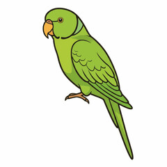 Green parakeet parrot – slim tropical bird illustration with curved beak

