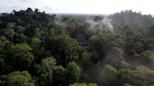 An ancient temple complex emerges from the misty jungle canopy, bathed in the soft light of dawn
