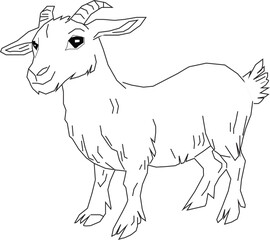 goat on a white background
