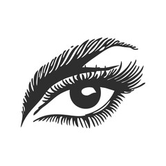 Eye With Detailed Eyelashes And Eyebrow Silhouette Illustration. Beauty And Expression Concept Isolated Vector Illustration