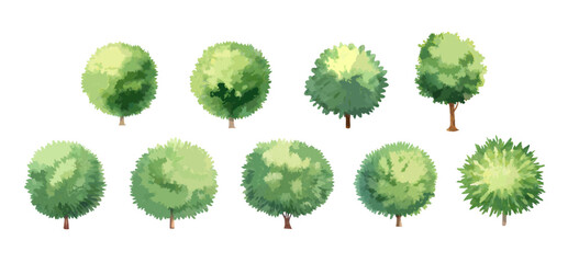 Watercolor Tree Collection in Front View for Landscape Architecture and Garden Design.