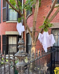 Boston brownstone with elegant and simple Halloween decor - little ghosts floating in the air