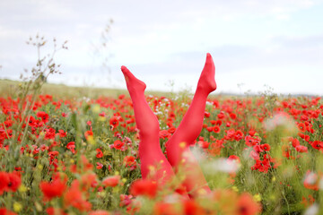 Woman in red tights among poppy flowers in wildflower meadow, closeup