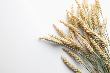 Many wheat spikes on white background, flat lay. Space for text