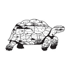 A desert tortoise reptile with an arid landscape illustration