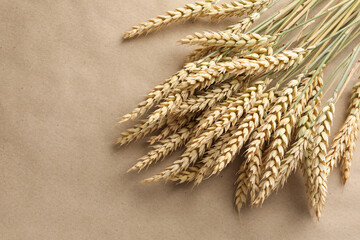 Many wheat spikes on paper background, above view. Space for text