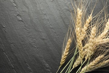 Wheat spikes on black table, flat lay. Space for text