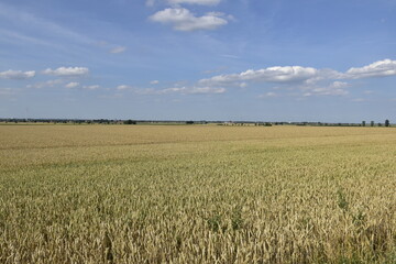 Landschaft und Ausblick bei Hildesheim