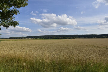 Landschaft und Ausblick bei Hildesheim