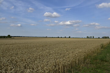 Landschaft und Ausblick bei Hildesheim