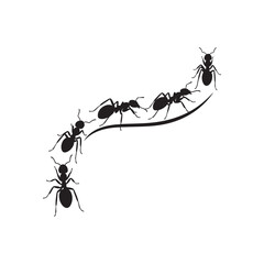 A trail of marching ants showing teamwork in a simple design