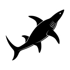 Obraz premium Hammerhead Shark Vector