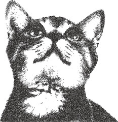 Cat y2k retro stipple art feline brutalist halftone vector png transparent, kitten 2000s photocopy effect tattoo aesthetic