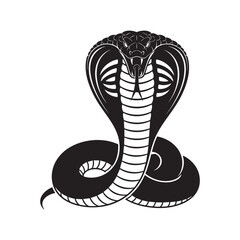 A king cobra snake with its hood flared in a striking pose