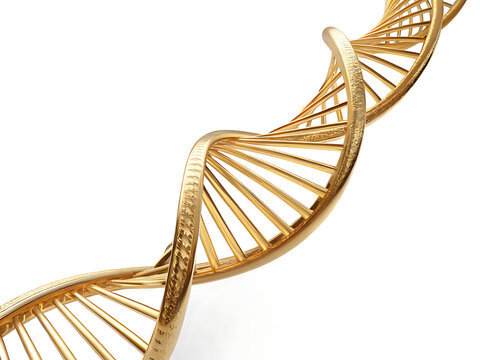 A golden dna double helix structure on a white background with intricate details and a smooth texture