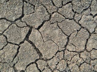 Close up dry and cracked soil surface texure background